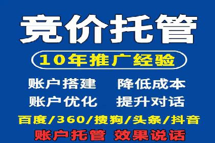 SEM推广策略：成功案例解析